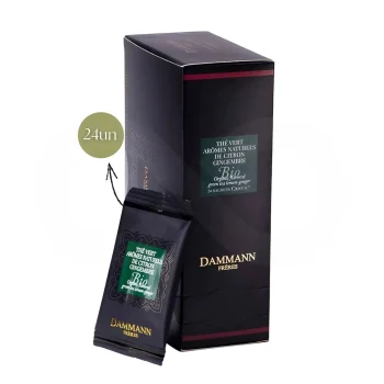 DAMMANN FRÈRES® Tee Arômes Citron Gingembre Bio 24 Stk.