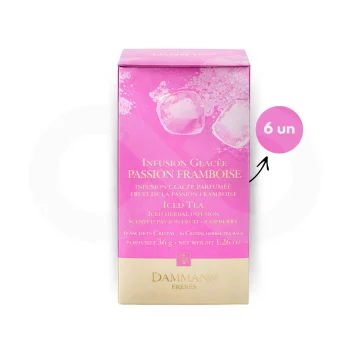 DAMMANN FRÈRES® Tee Infusion Glacée Passion Framboise 6 Stk.