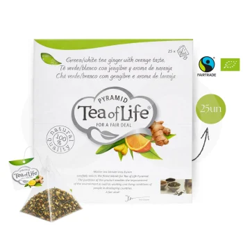 TEA OF LIFE® Tee Ingwer Und Orange 25 Stk.